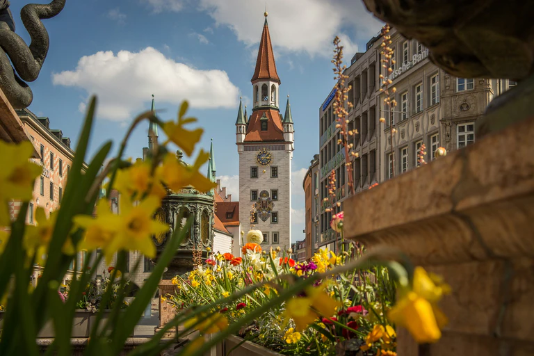 Frühling Blumen Marienplatz München — © Bild: Matthias Schröder/Unsplash