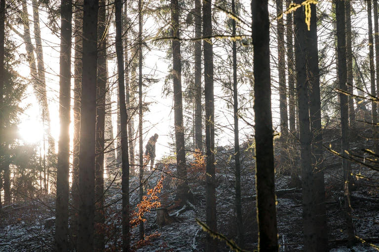 Wald ist oft in Privateigentum. Doch wem er genau gehört, ist bei manchen Flächen unklar.  — © Daniel Vogl/dpa