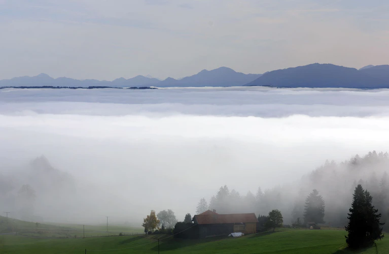Am Wochenende ist mit viel Nebel im Freistaat zu rechnen. (Symbolbild) — © Karl-Josef Hildenbrand/dpa