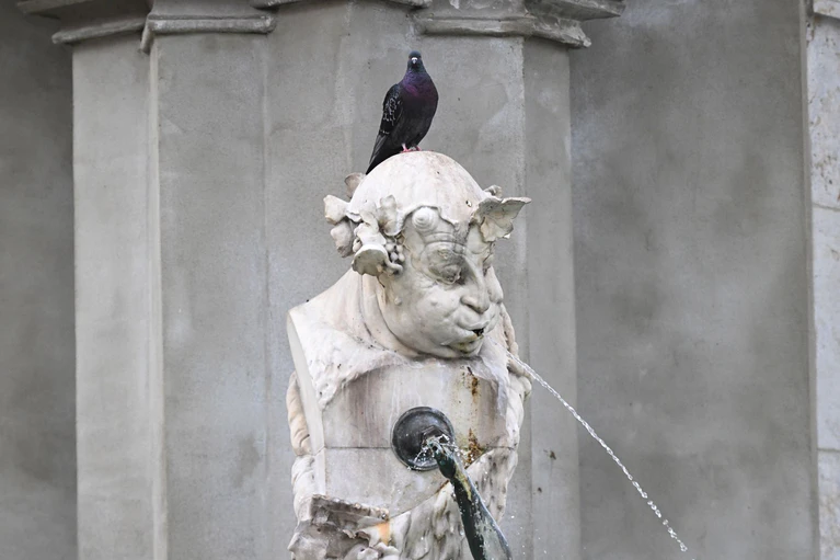 Das Wochenende in Bayern verspricht angenehmes Wetter ohne große Hitze. (Symbolbild) — © Felix Hörhager/dpa