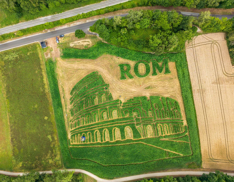 Das traditionelle Uttinger Feld-Labyrinth zeigt dieses Jahr das Kolosseum in Rom.  — © Peter Kneffel/dpa