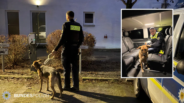 Polizei, Hund — © Bild: Bundespolizeiinspektion München 