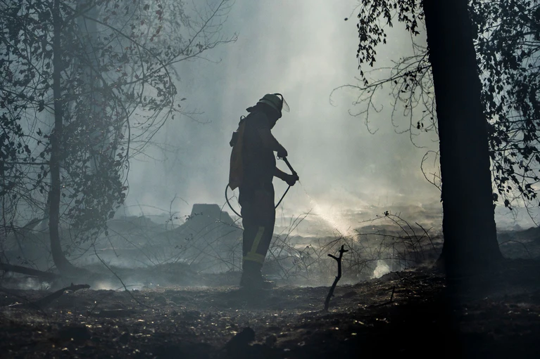 Feuerwehrleute kämpfen gegen einen Waldbrand in Hessen knapp vor der bayerischen Grenze. — © Andreas Arnold/dpa