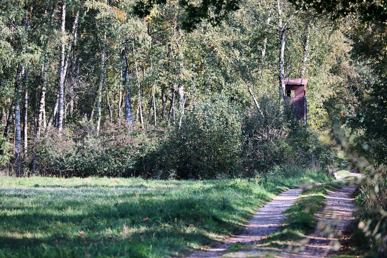 Die mutmaßliche Raubkatze wurde laut Landratsamt im Notzingermoos in der Nähe des Münchner Flughafens gesehen. — © Peter Kneffel/dpa