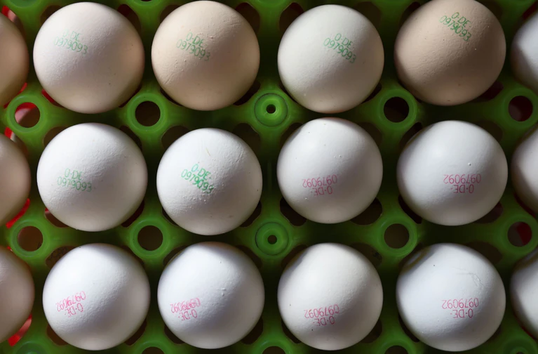 Eier könnten durch die Vogelgrippe teurer werden. (Symbolbild) — © Karl-Josef Hildenbrand/dpa