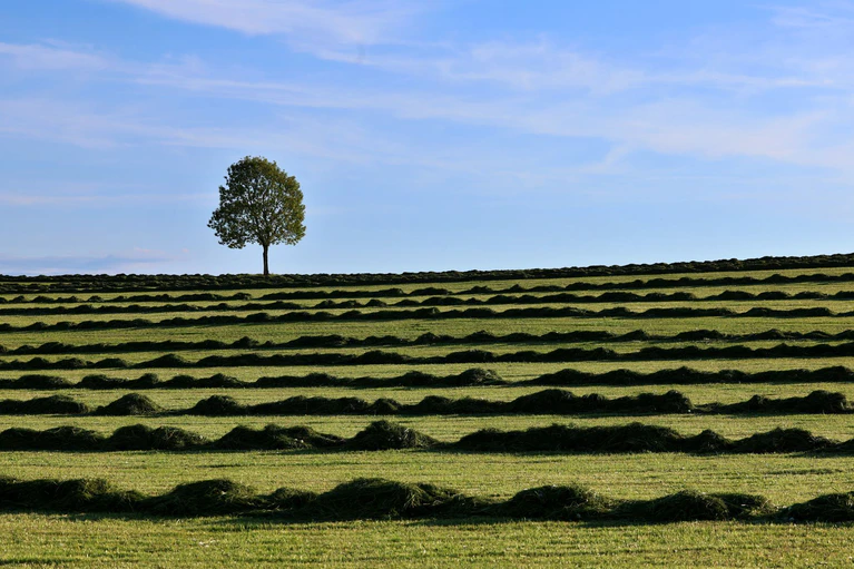 Am Freitag und Samstag wird es sonnig und warm in Bayern. (Symbolbild) — © Karl-Josef Hildenbrand/dpa