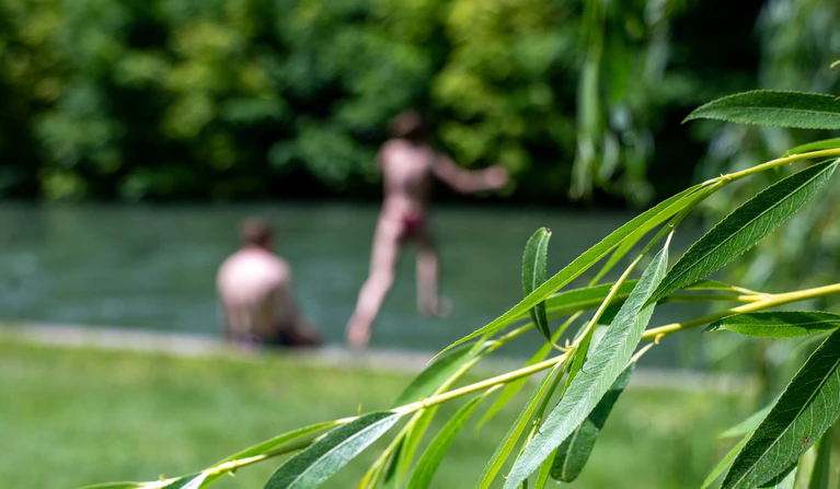Nach dem Sprung ins Wasser fehlte von dem Mann jede Spur – zur Sorge des Bekannten. (Symbolbild) — © Leonie Asendorpf/dpa
