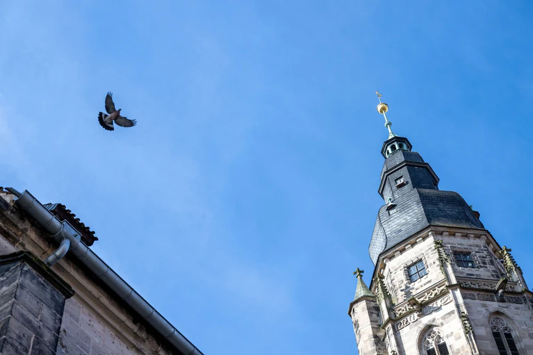 Für evangelische Christen hat der Buß- und Bettag eine große Bedeutung. (Symbolbild) — © Pia Bayer/dpa