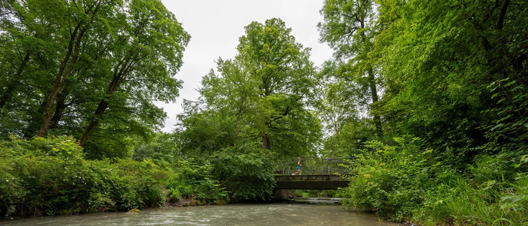 Ein Tunnel könnte den Verkehr aus dem Englischen Garten verbannen und eine neue Tram-Linie ermöglichen - und damit mehr Raum für Natur schaffen (Symbolbild). — © Stefan Puchner/dpa