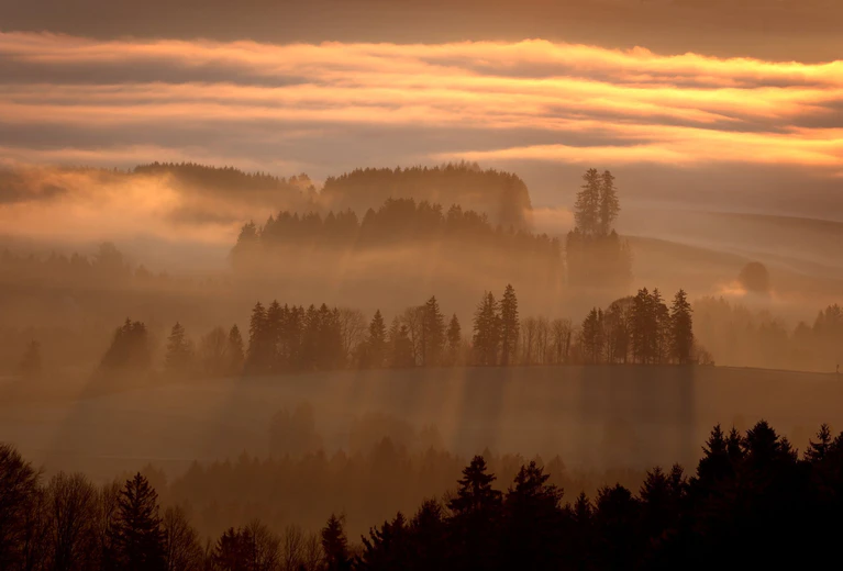 Der Samstag wird in allen Teilen des Freistaats sonnig.  — © Karl-Josef Hildenbrand/dpa