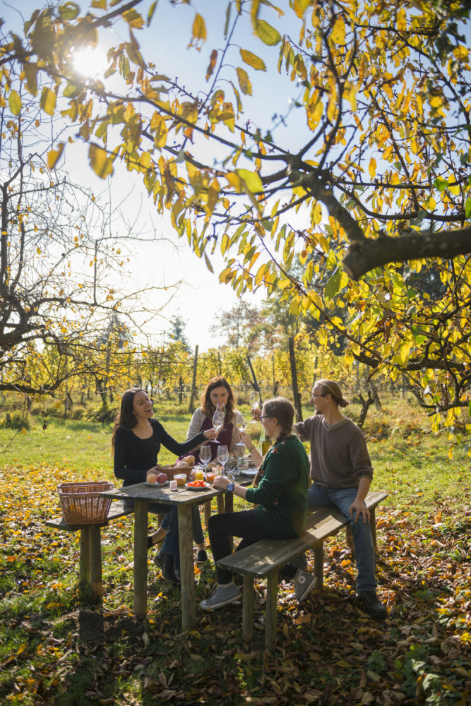 Steirisch Herbst'ln, Steiermark, Genussmarkt, Bild: © Steiermark Tourismus Bernhard Bergmann